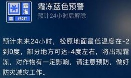松原爆料新闻的自媒体,自媒体如何引领舆论风向标
